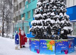 Визит Деда Мороза и Снегурочки в регионе стал стоить дешевле.