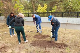 Чиновники и коммунальщики высадили деревья в Дзержинске.