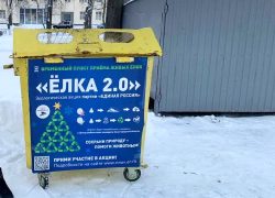 В Дзержинске открылось больше пунктов для сдачи в переработку елок.