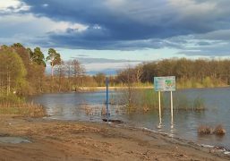 В Дзержинске на рыбаков-браконьеров завели дела.