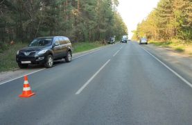 Недалеко от Дзержинска в ДТП пострадал велосипедист.