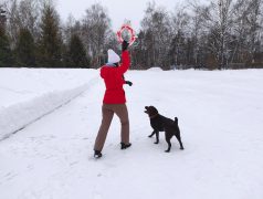 В России хотят создавать больше зон для выгула собак.