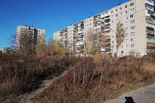 В ближайшие годы