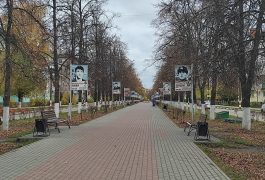 В Дзержинске планируют установить мемориальные доски в память о погибших в зоне СВО.