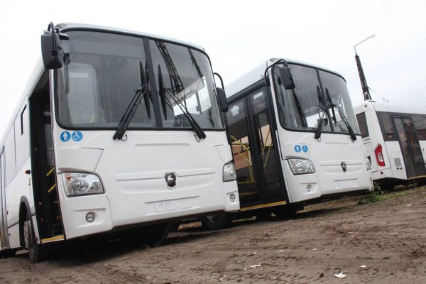 Автопарк МУП «Экспресс» пополнился 13 автобусами ЛИАЗ.