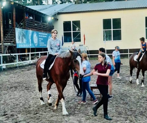 В Дзержинске планируют построить конноспортивный комплекс.