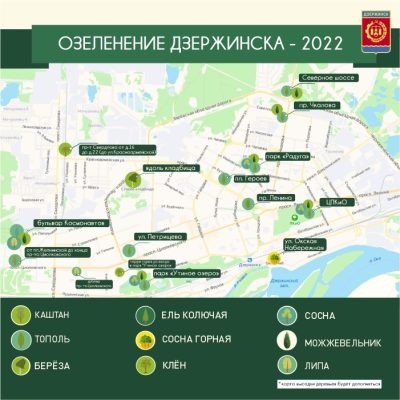 В Дзержинске начинается озеленение улиц и проспектов