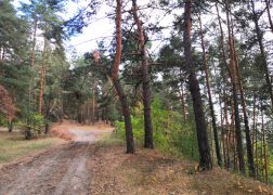 В Нижегородской области завершен пожароопасный сезон.