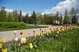 В Дзержинске все готово к «цветочному» озеленению