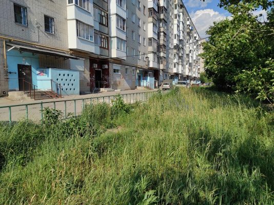 Управляющие компании в Дзержинске пользуются желанием жителей попасть в программу благоустройства