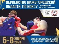 В Дзержинске пройдет областное Первенство по боксу.