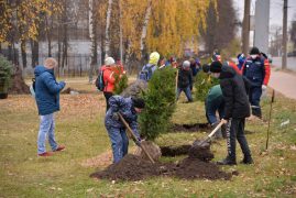Тема экологии и защиты окружающей среды для Дзержинска остается актуальной на протяжении уже нескольких десятков лет. И все-таки в последние годы ситуация меняется в лучшую сторону. Городские и областные власти обратили внимание на знаковые природные объекты