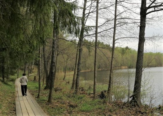 Нижегородцы могут отправиться в путешествие по области.