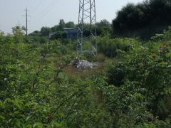 Дзержинск пытаются очистить от несанкционированных свалок.