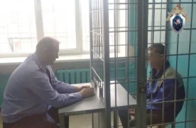 Пытавшийся изнасиловать жительницу Дзержинска мужчина сядет в тюрьму.
