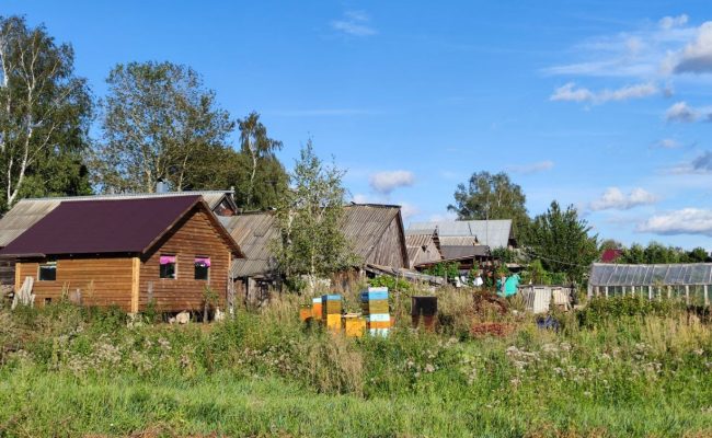 Эксперты Кадастровой палаты проконсультируют по вопросам дачной амнистии.