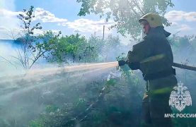 В Дзержинске пожарные тушили горящую траву.