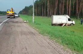 Рядом с Дзержинском водитель ГАЗели врезался в экскаватор.