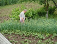 Дачникам напомнили