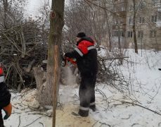 В Дзержинске УК рубит деревья