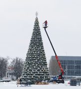 В Дзержинске начался демонтаж елок