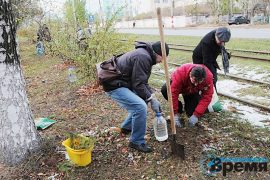 В Дзержинске посадили около 100 новых деревьев