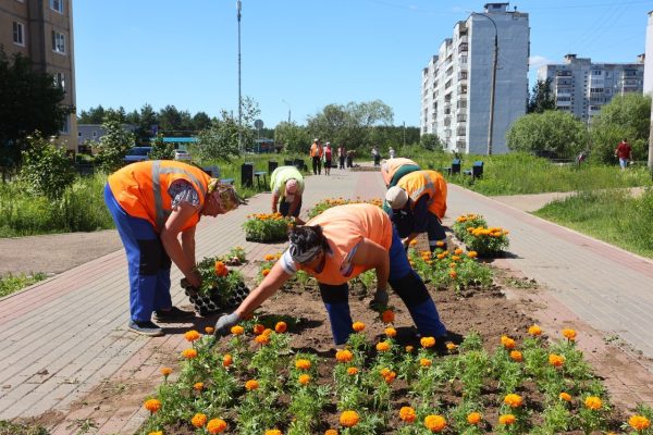 В Дзержинске высадят цветники рядом с клубом инвалидов