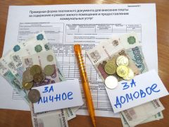 Несмотря на то что в конце прошлого года облсуд все-таки признал сбор средств за ОДН «Нижегородской сбытовой компанией» в нашем городе незаконным