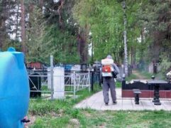 Погосты Дзержинска заливают химией против кровососущих
