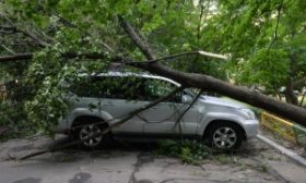 В Дзержинске появилась официальная информация о последствиях урагана.